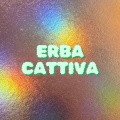 Erba cattiva