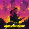 Are You Sure (Explicit)