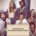 The Allman Brothers Band - Wasted Words