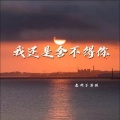 老胡子男孩 - 我还是舍不得你