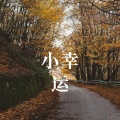 DJ Richz - 小幸运 (DJ Richz remix)