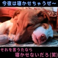 ぐっすり眠れる音楽、Marina、Relaxing Resort、Mental Clinic、Aroma therapy Yogi - この音楽に合わせて深い呼吸をシンクロさせて見てください