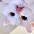 Ly - 暖暖