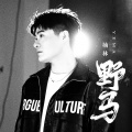 楠林 - 野马