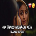 My Love - Ham Tumko Nigahon Mein