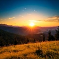 Tranquility Tunes: Music for Relaxing Evenings