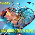 Index - Now You're Gone