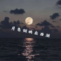 月色倒映在西湖 (油尽灯枯)