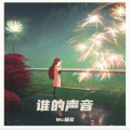小阳弟 - 谁的声音