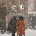 走来