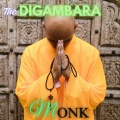 The Digambara - Implementations