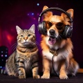 Hip Hop Comfort: Soothing Tracks for Pets