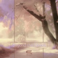 Senses Link - Beyond the Clouds