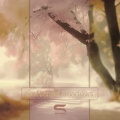 Senses Link - Softened Shadows