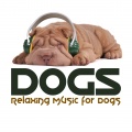 Dogs : Relaxing Music for Dogs