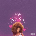 Nesa (Explicit)