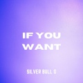 Silver Bull G - You were watching