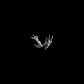 JOKFP.K - 哇扣哇扣v3