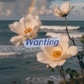 Wanting (Remix)