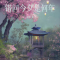 慌慌不慌 - 壁上观
