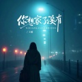 王娜 - 你想家了没有