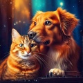 Lofi Pet Vibes: Harmonious Comfort