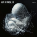 Not My Problem (Explicit)