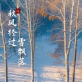 秋风经过雪飘落 (执念版)