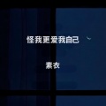 素衣 - 怪我更爱我自己