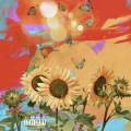 Therapy (Explicit)