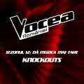 Raluca Moldoveanu、Vocea României - Decode