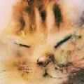 Hx - The SADCAT Ballad