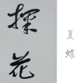 呵华 - 我的好兄弟