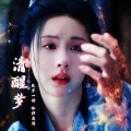 汤圆_Nicole、佳J - 清醒梦