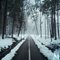 MADILYN - Love in the Dark