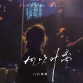 庄辉辉 - 风吹叶离