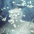 醒xing - Like A Flower
