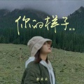 张禾禾 - 你的样子