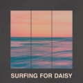 Surfing For Daisy - Platform