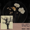 night tree
