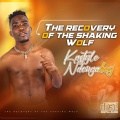 Tuwa Media、Money Mike - Meyulu Longwiya (feat. Money Mike)