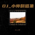 DJ_小帅 - 半壶纱