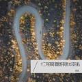蓝莓 - 十二月的奇迹