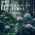睡眠音楽α波オルゴール、SLEEPY NUTS - θ波を刺激し 疲労回復 ストレス解消 自律神経整う バイノーラルアンビエント
