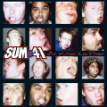 Sum 41 - Pain For Pleasure