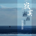 张艺迈 - 寂寞邂逅