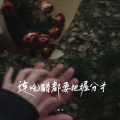 宋飞 - 连吃醋都要把握分寸