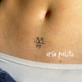 aria pulita
