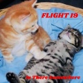 Flight 19 - Ferris