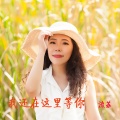 流苏 - 我还在这里等你